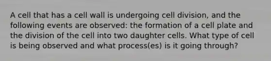 A cell that has a cell wall is undergoing cell division, and the following events are observed: the formation of a cell plate and the division of the cell into two daughter cells. What type of cell is being observed and what process(es) is it going through?