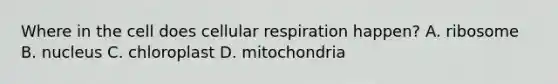 Where in the cell does cellular respiration happen? A. ribosome B. nucleus C. chloroplast D. mitochondria