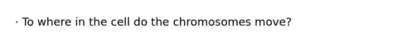 · To where in the cell do the chromosomes move?