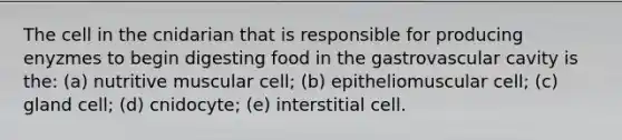 The cell in the cnidarian that is responsible for producing enyzmes to begin digesting food in the gastrovascular cavity is the: (a) nutritive muscular cell; (b) epitheliomuscular cell; (c) gland cell; (d) cnidocyte; (e) interstitial cell.