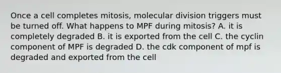 Once a cell completes mitosis, molecular division triggers must be turned off. What happens to MPF during mitosis? A. it is completely degraded B. it is exported from the cell C. the cyclin component of MPF is degraded D. the cdk component of mpf is degraded and exported from the cell