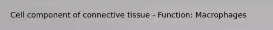 Cell component of connective tissue - Function: Macrophages