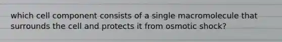 which cell component consists of a single macromolecule that surrounds the cell and protects it from osmotic shock?