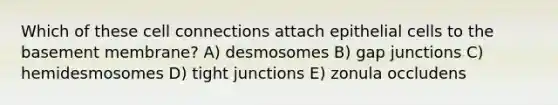 Which of these cell connections attach epithelial cells to the basement membrane? A) desmosomes B) gap junctions C) hemidesmosomes D) tight junctions E) zonula occludens