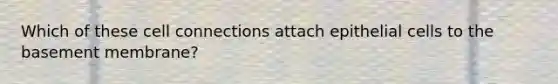 Which of these cell connections attach epithelial cells to the basement membrane?