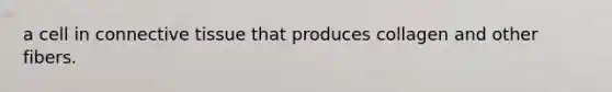 a cell in <a href='https://www.questionai.com/knowledge/kYDr0DHyc8-connective-tissue' class='anchor-knowledge'>connective tissue</a> that produces collagen and other fibers.