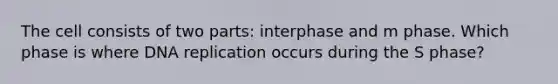 The cell consists of two parts: interphase and m phase. Which phase is where DNA replication occurs during the S phase?