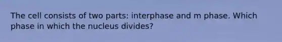 The cell consists of two parts: interphase and m phase. Which phase in which the nucleus divides?