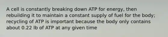 A cell is constantly breaking down ATP for energy, then rebuilding it to maintain a constant supply of fuel for the body; recycling of ATP is important because the body only contains about 0.22 lb of ATP at any given time