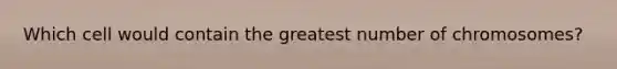 Which cell would contain the greatest number of chromosomes?