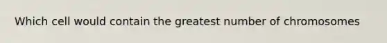 Which cell would contain the greatest number of chromosomes