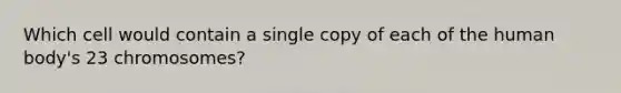 Which cell would contain a single copy of each of the human body's 23 chromosomes?