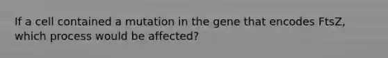 If a cell contained a mutation in the gene that encodes FtsZ, which process would be affected?