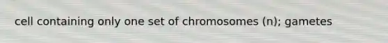 cell containing only one set of chromosomes (n); gametes