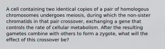 A cell containing two identical copies of a pair of homologous chromosomes undergoes meiosis, during which the non-sister chromatids in that pair crossover, exchanging a gene that controls the rate of cellular metabolism. After the resulting gametes combine with others to form a zygote, what will the effect of this crossover be?