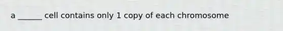 a ______ cell contains only 1 copy of each chromosome