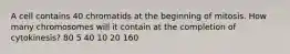 A cell contains 40 chromatids at the beginning of mitosis. How many chromosomes will it contain at the completion of cytokinesis? 80 5 40 10 20 160