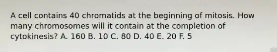 A cell contains 40 chromatids at the beginning of mitosis. How many chromosomes will it contain at the completion of cytokinesis? A. 160 B. 10 C. 80 D. 40 E. 20 F. 5