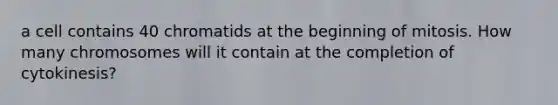 a cell contains 40 chromatids at the beginning of mitosis. How many chromosomes will it contain at the completion of cytokinesis?