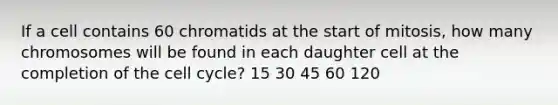 If a cell contains 60 chromatids at the start of mitosis, how many chromosomes will be found in each daughter cell at the completion of the cell cycle? 15 30 45 60 120