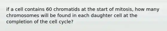 if a cell contains 60 chromatids at the start of mitosis, how many chromosomes will be found in each daughter cell at the completion of the <a href='https://www.questionai.com/knowledge/keQNMM7c75-cell-cycle' class='anchor-knowledge'>cell cycle</a>?