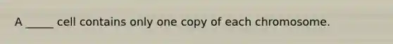 A _____ cell contains only one copy of each chromosome.