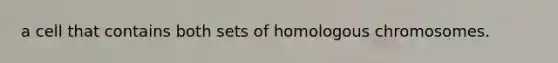 a cell that contains both sets of homologous chromosomes.