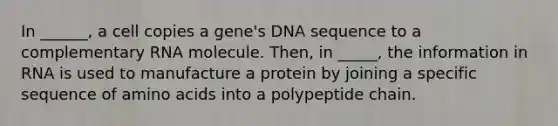 In ______, a cell copies a gene's DNA sequence to a complementary RNA molecule. Then, in _____, the information in RNA is used to manufacture a protein by joining a specific sequence of amino acids into a polypeptide chain.