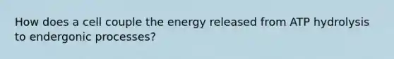 How does a cell couple the energy released from ATP hydrolysis to endergonic processes?