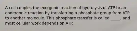 A cell couples the exergonic reaction of hydrolysis of ATP to an endergonic reaction by transferring a phosphate group from ATP to another molecule. This phosphate transfer is called _____, and most cellular work depends on ATP.