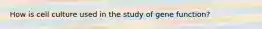 How is cell culture used in the study of gene function?
