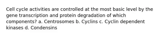 <a href='https://www.questionai.com/knowledge/keQNMM7c75-cell-cycle' class='anchor-knowledge'>cell cycle</a> activities are controlled at the most basic level by the gene transcription and protein degradation of which components? a. Centrosomes b. Cyclins c. Cyclin dependent kinases d. Condensins