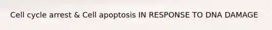 Cell cycle arrest & Cell apoptosis IN RESPONSE TO DNA DAMAGE