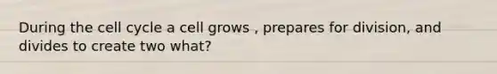 During the <a href='https://www.questionai.com/knowledge/keQNMM7c75-cell-cycle' class='anchor-knowledge'>cell cycle</a> a cell grows , prepares for division, and divides to create two what?