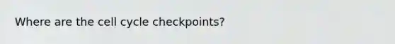 Where are the cell cycle checkpoints?