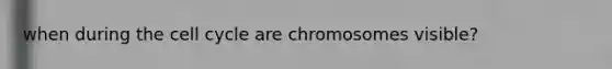 when during the cell cycle are chromosomes visible?