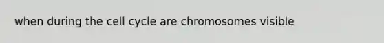 when during the cell cycle are chromosomes visible