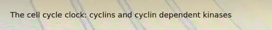 The cell cycle clock: cyclins and cyclin dependent kinases