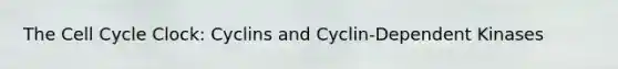 The Cell Cycle Clock: Cyclins and Cyclin-Dependent Kinases