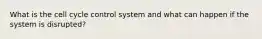 What is the cell cycle control system and what can happen if the system is disrupted?