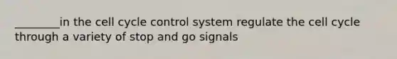 ________in the cell cycle control system regulate the cell cycle through a variety of stop and go signals