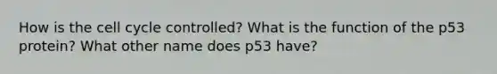 How is the cell cycle controlled? What is the function of the p53 protein? What other name does p53 have?