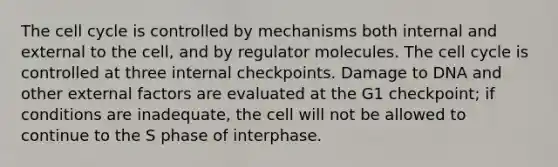 The <a href='https://www.questionai.com/knowledge/keQNMM7c75-cell-cycle' class='anchor-knowledge'>cell cycle</a> is controlled by mechanisms both internal and external to the cell, and by regulator molecules. The cell cycle is controlled at three internal checkpoints. Damage to DNA and other external factors are evaluated at the G1 checkpoint; if conditions are inadequate, the cell will not be allowed to continue to the S phase of interphase.