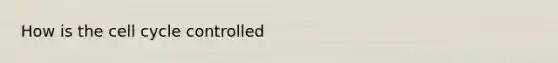 How is the cell cycle controlled