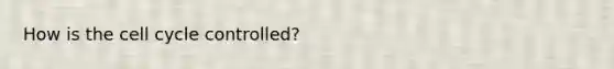 How is the cell cycle controlled?
