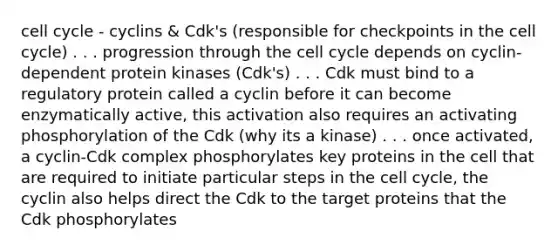 cell cycle - cyclins & Cdk's (responsible for checkpoints in the cell cycle) . . . progression through the cell cycle depends on cyclin-dependent protein kinases (Cdk's) . . . Cdk must bind to a regulatory protein called a cyclin before it can become enzymatically active, this activation also requires an activating phosphorylation of the Cdk (why its a kinase) . . . once activated, a cyclin-Cdk complex phosphorylates key proteins in the cell that are required to initiate particular steps in the cell cycle, the cyclin also helps direct the Cdk to the target proteins that the Cdk phosphorylates