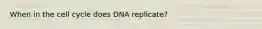 When in the cell cycle does DNA replicate?