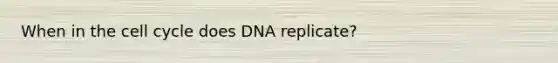 When in the cell cycle does DNA replicate?