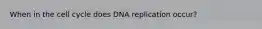 When in the cell cycle does DNA replication occur?