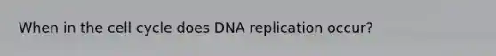 When in the cell cycle does DNA replication occur?